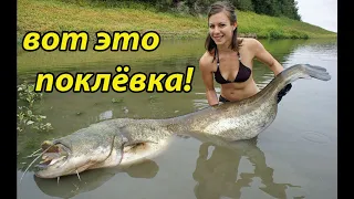 Необычные случаи на рыбалке! рыбалка на крупную рыбу! лучшая рыбалка! поклёвка большой рыбы!