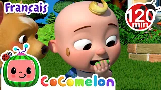 S'occuper d'un animal | Chansons pour Bébés | CoComelon Le coin des Animaux de JJ - Comptines