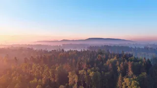 Kaitseme metsiku looduse oaasi keset keskkonnakatastroofi!