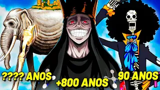 OS SERES MAIS VELHOS E ANTIGOS DO UNIVERSO DE ONE PIECE! (COMPARAÇÃO DE IDADE)