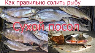 ТОП 1 ЛУЧШИЙ В МИРЕ РЕЦЕПТ ЗАСОЛА ТАРАНИ! КАК ПРАВИЛЬНО И ВКУСНО СОЛИТЬ СУХИМ ПОСОЛОМ ЛЮБУЮ РЫБУ.