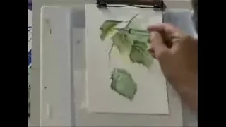 Susan Scheewe 2 Hour Workshop DVD "Watercolor Painting Techniques" video by ArtistSupplySource.com