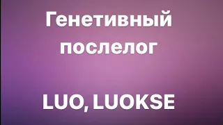 ПОСЛЕЛОГ LUOKSE В ФИНСКОМ ЯЗЫКЕ