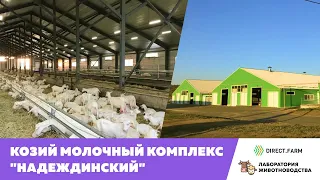 Козий молочный комплекс "Надеждинский"