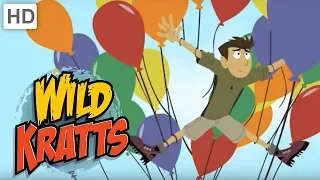 Wild Kratts 🎈 Balloons in the Wild | Kids Videos