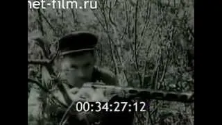 Народные мстители 1943