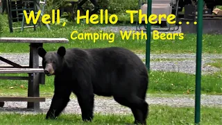 Camping with Bears! ~ Lyman Run State Park, PA