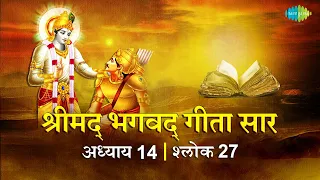 भगवद गीता सार अध्याय 14 श्लोक 27with lyrics | Bhagvad Geeta Chapter 14 sholk 27| Shailendra Bharti