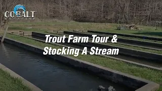 Cobalt Trout Farm Tour and Stocking A Stream