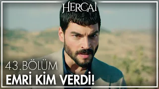 Miran, ailesinin yolunu kesenlerin peşinde!  - Hercai 43. Bölüm