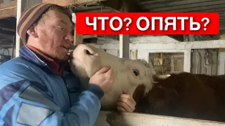 😡😡😡ЗЛОСТЬ И ОБИДА КАК УВИДЕЛ