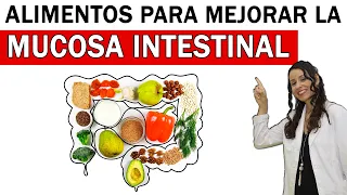 Alimentos Clave para Mejorar la SALUD INTESTINAL ✅🍎🥑🍇