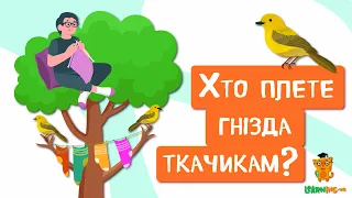 🍀 Дива природи. Явища навколо нас. Птахи родини Ткачикових 🌏