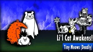 [Battle Cats] R.I.P. Range | Tiny Meows (Deadly) - No Prisoner Cat