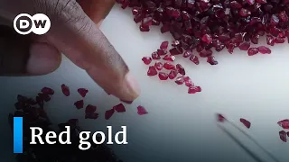 Mozambique's rubies: A blessing or a curse? | DW Documentary