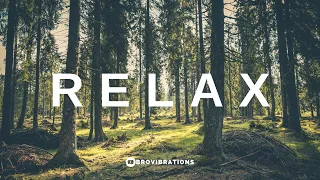 R E L A X  🌿 - Beautiful Relaxing Music For Stress Relief