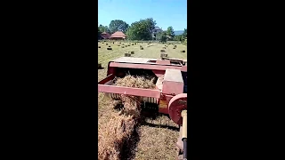 Hay baling, International 435D