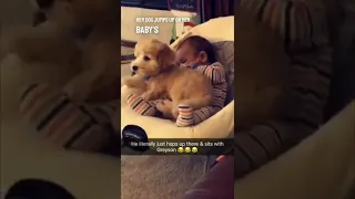 This dog and baby are best friends 👏❤️