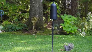 Does the squirrel baffle work?