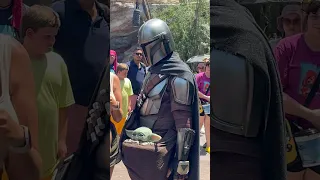 Mandalorian and Grogu - this is the way. Baby Yoda at Hollywood Studios #disneyworld #shorts