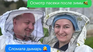 Первый осмотр пасеки