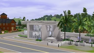 The Sims 3.Modern house.50 shades of the gray.50 оттенков серого.