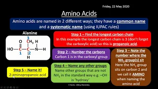 AQA 3.13 Amino Acids, Proteins and DNA REVISION