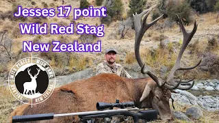 Jesses 17 point Wild Red Stag New Zealand