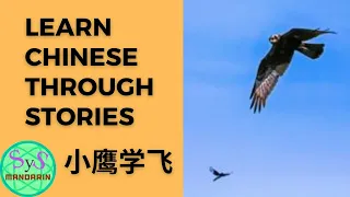 261 Learn Chinese Through Stories《小鹰学飞》Litttle Eagle Learns to Fly