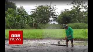 Thailand cave: Flooded farmers support rescue effort - BBC News