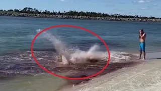 SHARK ATTACK CAUGHT ON CAMERA