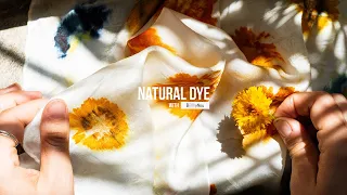 HOW TO ECO PRINT at home WITH FLOWERS | NATURAL DYE | BOTANICAL COLOUR