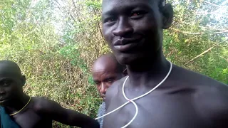 Surma people eat buffalo meat delicious (hunting)
