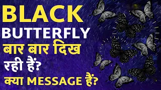 BLACK BUTTERFLY दिख रही है? 🦋 Yellow Butterfly Meaning In Hindi ✨