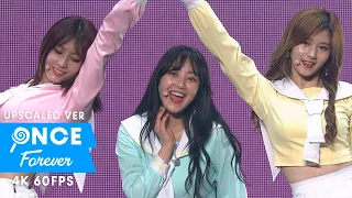 TWICE「Knock Knock」TWICELAND The Opening (60fps)