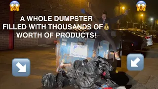 DUMPSTER DIVIN// THIS DG THREW OUT AN ENTIRE ISLE OF CLEANING PRODUCTS😱 BEST SCORE OF 2022!!!!