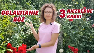 Ogławianie róż w 3 prostych krokach || Rozaria.pl