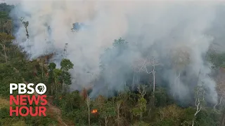 WATCH: Fires spread through the Amazon rainforest