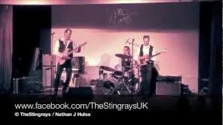 The Stingrays (UK) perform Johnny Kidd Please Don't Touch