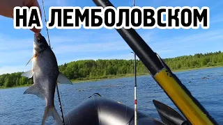 Рыбалочка на Лемболовском озере