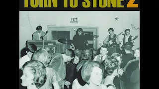 V/A Turn To Stone 2 (Long Lost Sixties Garage USA)