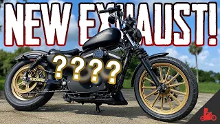 Harley-Davidson Iron 883 NEW EXHAUST!