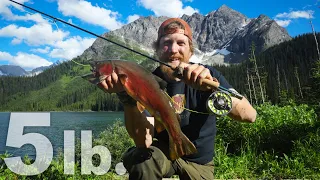 Catch & Cook On A L.L.Bean Streamlight Fly Rod DAY 24 of 30 Day Survival Challenge Canadian Rockies