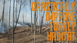 Three Ways to Drastically Improve Your Turkey Habitat