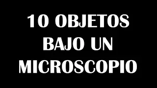 10 COSAS BAJO UN MICROSCOPIO