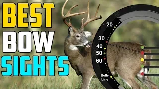 Best Bow Sights 2024 - Top 3 Best Bow Sight For Beginners