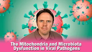 The Mitochondria and Microbiota Dysfunction in Viral Pathogens