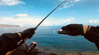 Shore Fishing Solo Oahu