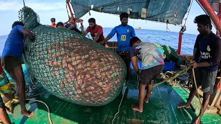Amazing Automatic Longline Fishing Net Catch Giant Fish |@FISH_TV