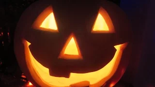 Happy Halloween Pumpkin Picking - holiday movie documentary film project